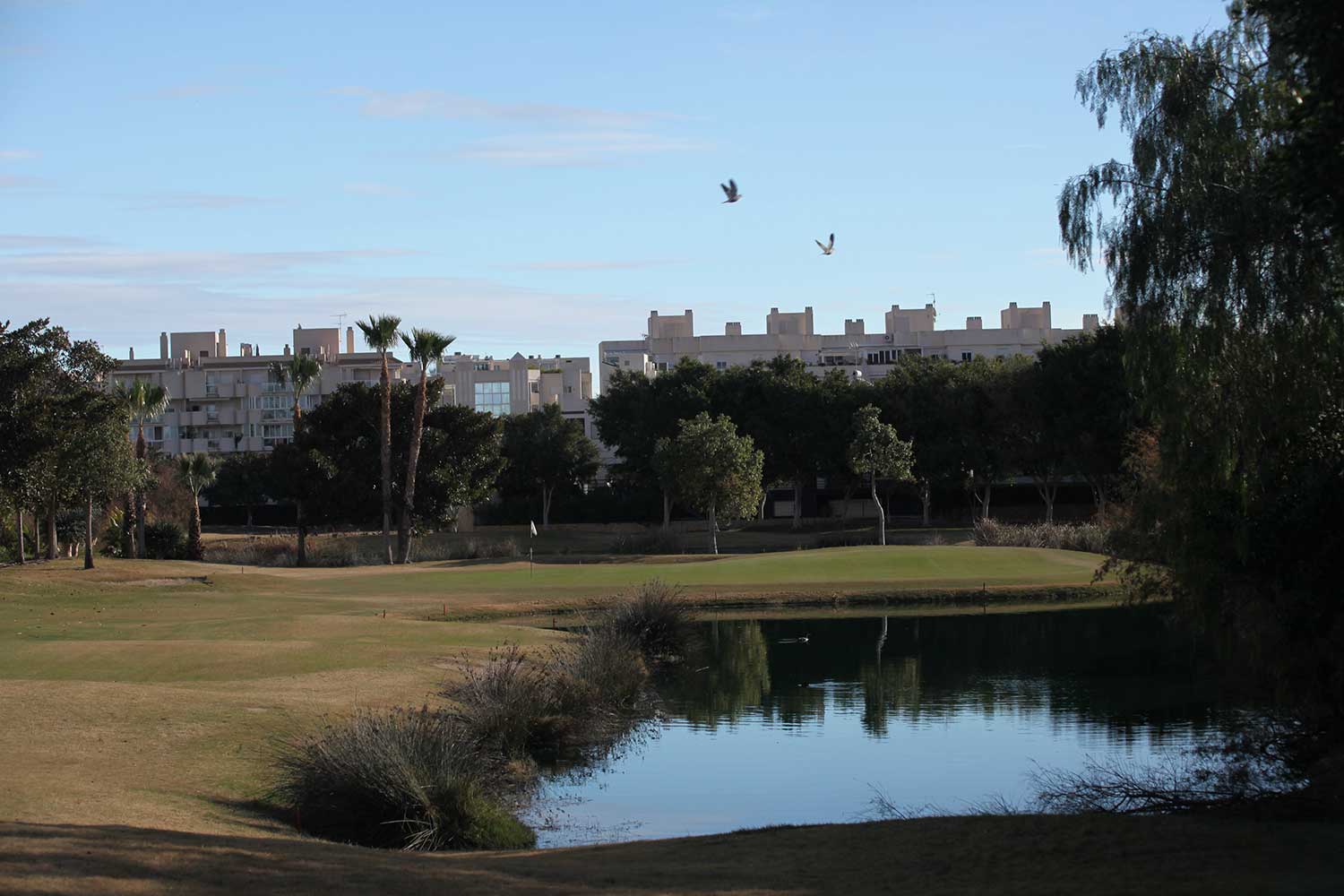 1 Alicante Golf (2)